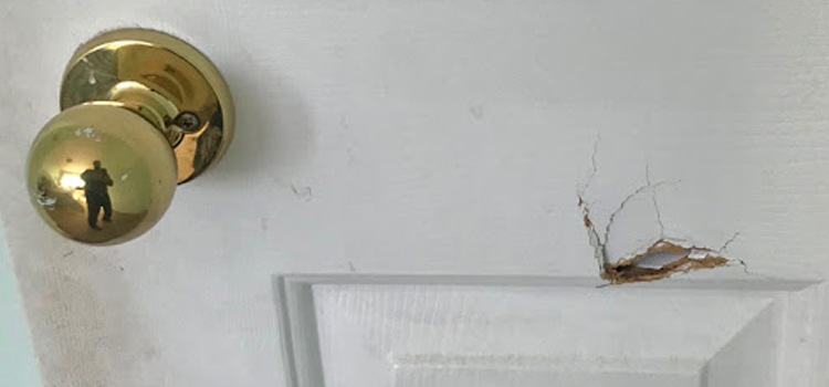interior door hole repair Sierra Madre