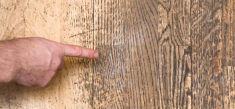 Wood Door Scratch Repair in Sierra Madre